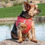 Doggie Design No Choke Dog Harness - Simple Step-in and Go Dog Vest for Small, Medium, and Large Breeds - Breathable Mesh Polyester Pet Harness - Coral - XS
