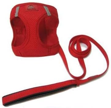 Choke-Free Mesh Dog Harness | Black