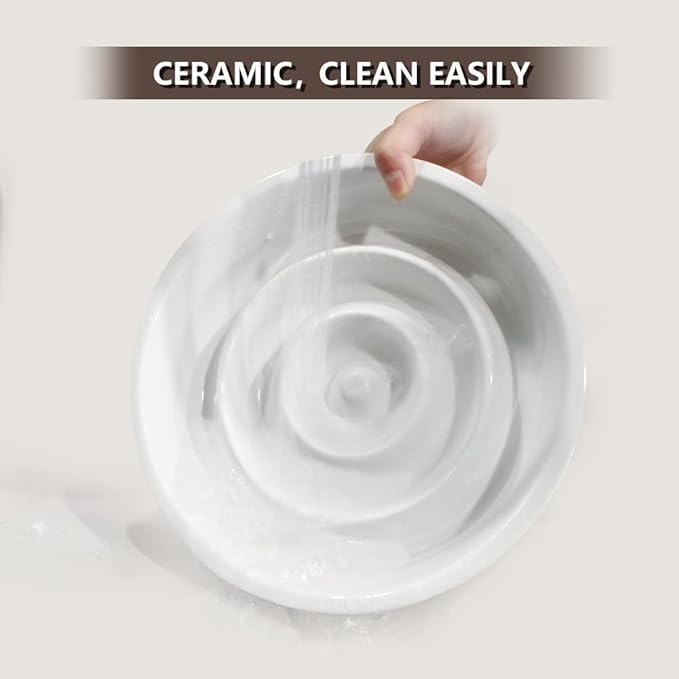 GH Ceramic Slow Feeder Dog Bowl, 3 Cups, 2 Pet Flying Discs Included - White