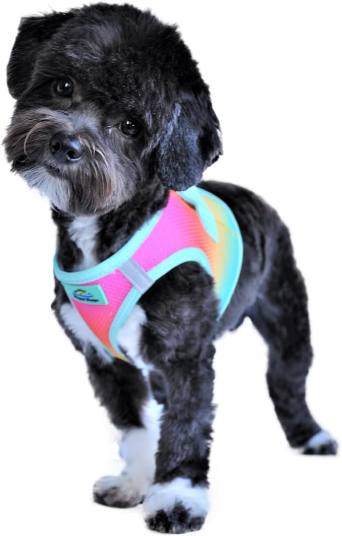 Doggie Design No Choke Dog Harness - Simple Step-in and Go Dog Vest for Small, Medium, and Large Breeds - Breathable Mesh Polyester Pet Harness - Beach Party - XXS