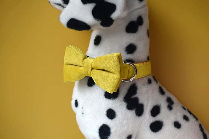 Custom Dog Collar with Metal Buckle - Pet Collars Personalized with Name and Phone Number (Velvet Style2)