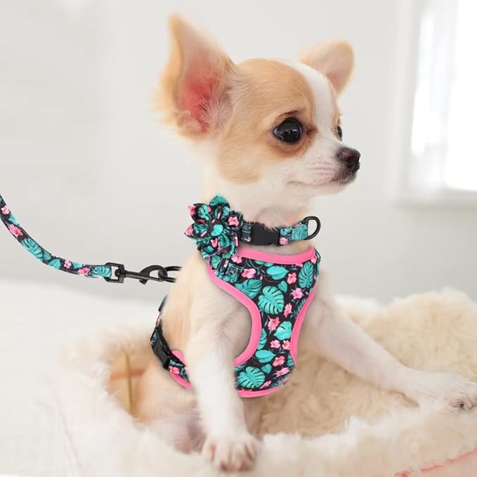 Beirui Cute Girl Dog Collars, Harnesses & Leashes Set - Adjustable Dog Collar and Leash Set with Flower - Soft Mesh Dog Vest Harness for Puppies Small & Extra Small Dogs Cats (Green,XXS)