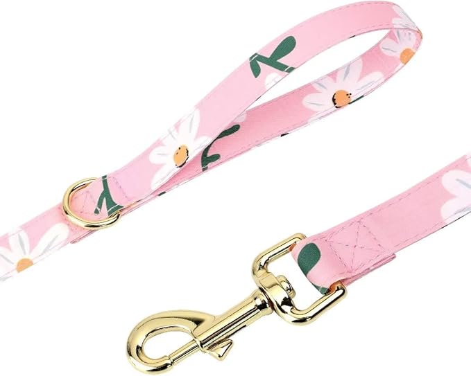 Beirui Cute Girl Dog Collars, Harnesses & Leashes Set - Adjustable Dog Collar and Leash Set with Flower - Soft Mesh Dog Vest Harness for Puppies Small Medium Dogs (Pink-1,M)