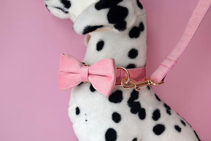 Custom Dog Collar with Metal Buckle - Pet Collars Personalized with Name and Phone Number (Velvet Style1)