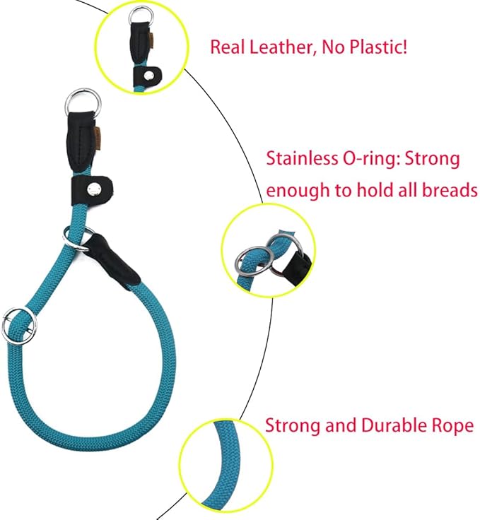 Braided Round Martingale Dog Collar, Training Collar with Slidable Stop Ring and Adjustable Stopper - Ideal for Small Dogs (S(1/4") - 14" Long, Light Blue)