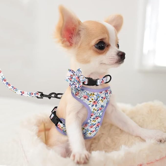 Beirui Cute Girl Dog Collars, Harnesses & Leashes Set - Adjustable Dog Collar and Leash Set with Flower - Soft Mesh Dog Vest Harness for Puppies Small & Extra Small Dogs Cats (Blue,XXS)