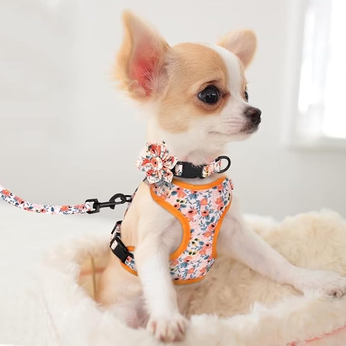 Beirui Cute Girl Dog Collars, Harnesses & Leashes Set - Adjustable Dog Collar and Leash Set with Flower - Soft Mesh Dog Vest Harness for Puppies Small & Extra Small Dogs Cats (Orange,XXS)