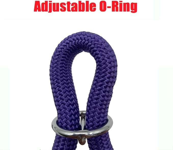 Braided Round Martingale Dog Collar, Training Collar with Slidable Stop Ring - Ideal for Small Medium Dogs (M- (1/3") - 18" Long, Purple)