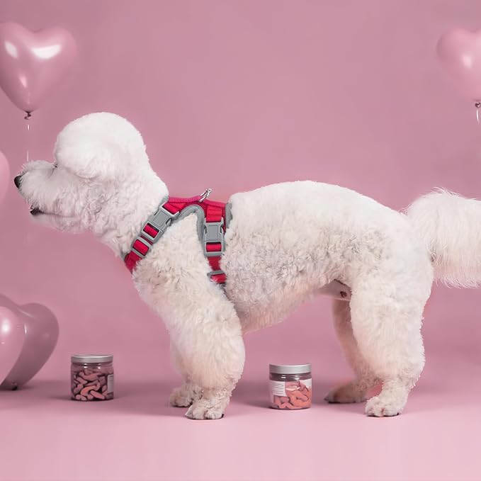 Small Dog Harness and Leash Set,No Pull Adjustable Pet Harness for Small Dogs ,Breathable Mesh Reflective Dog Vest Harness (Red, XXS)