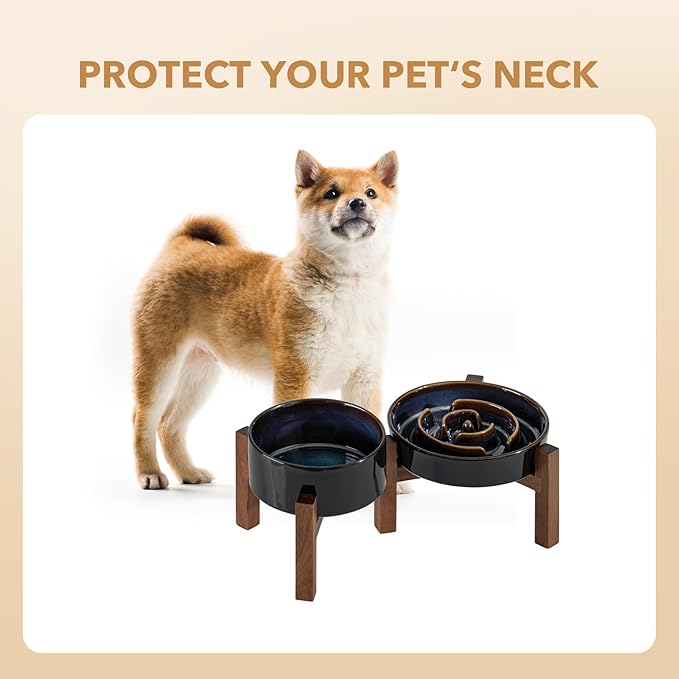 Ceramic 1.2 Cup Raised Slow Feeder Dog Bowl Set, Elevated 6.1inch Bowl and 7.3inch Dish with Acacia Wood Stand for Small and Medium Dog(2 x Starry Sky+ Stand)
