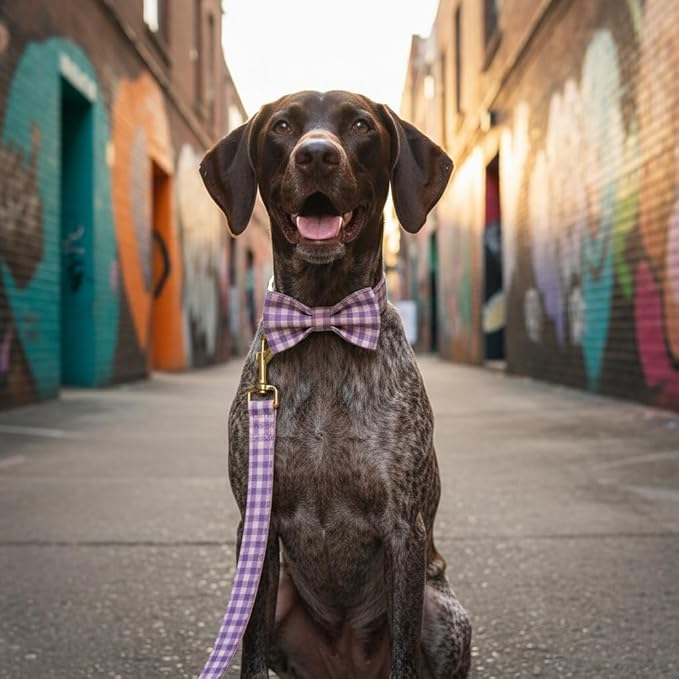 PETDURO Personalized Dog Collar Pink Purple Gingham Plaid for Large Medium Dogs | Engraved Name and Phone Number on Gold Metal Buckle for Girls | Add Leash & Bow Tie via Customize Now