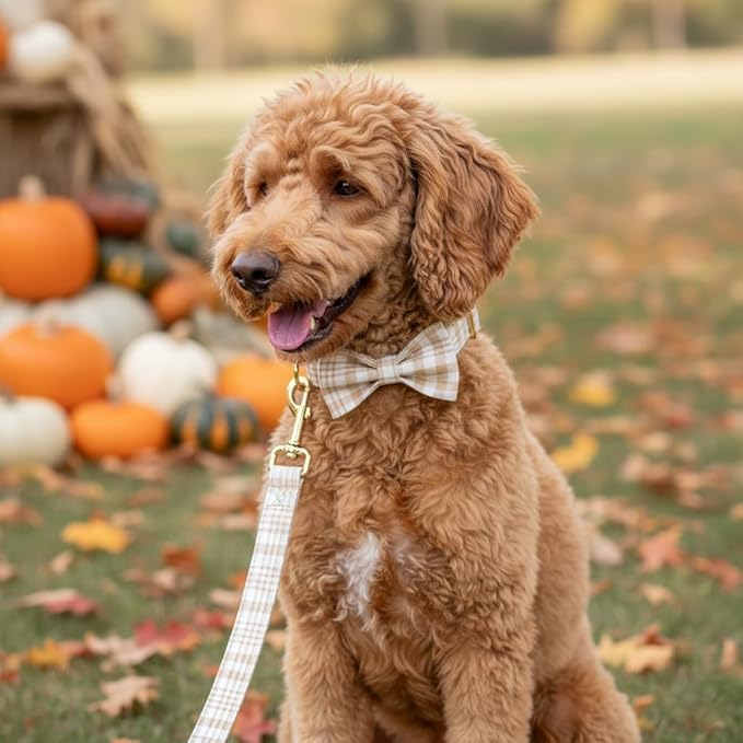 PETDURO Personalized Dog Collar Light Brown Plaid for Large Medium Dogs | Engraved Name and Phone Number on Gold Metal Buckle for Boys & Girls | Add Leash & Bow Tie via Customize Now