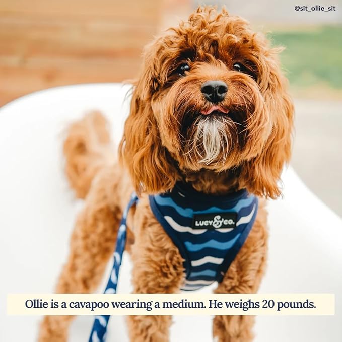 Lucy & Co. Reversible Dog Harness Walking Halter - Harnesses for Small Medium Large XL Dogs - Padded Adjustable - for German Shepherd Pug French Bulldog English Bulldog