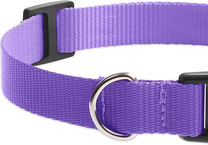 Replacement Collar for Shock Collar, Stylish & Comfortable Nylon Dog Collar with Quick Release Buckle, Compatible with PetSafe Bousnic Sportdog Garmin Ecollar Replacement Strap (Purple & Blue)
