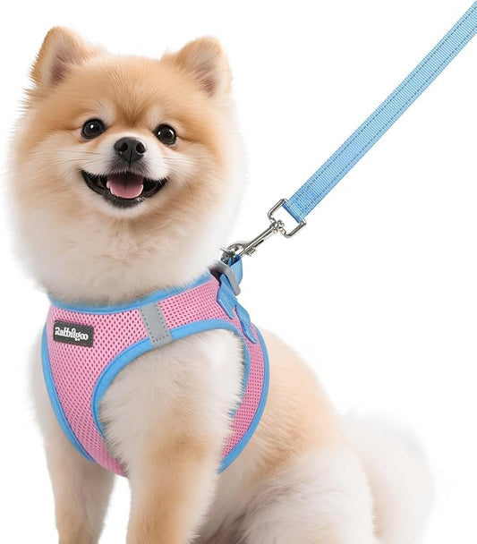 rabbitgoo Dog Harness Small Sized and Leash Set, Step-in Breathable Pet Harness, Soft Walking Reflective Puppy Vest for Small Dogs, Pink & Light Blue, M