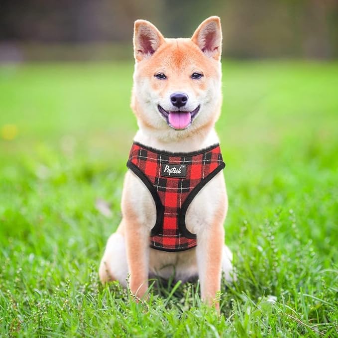 PUPTECK Soft Mesh Dog Harness and Leash Set Pet Puppy Cat Comfort Padded Vest No Pull Harnesses, Red&Black, XS