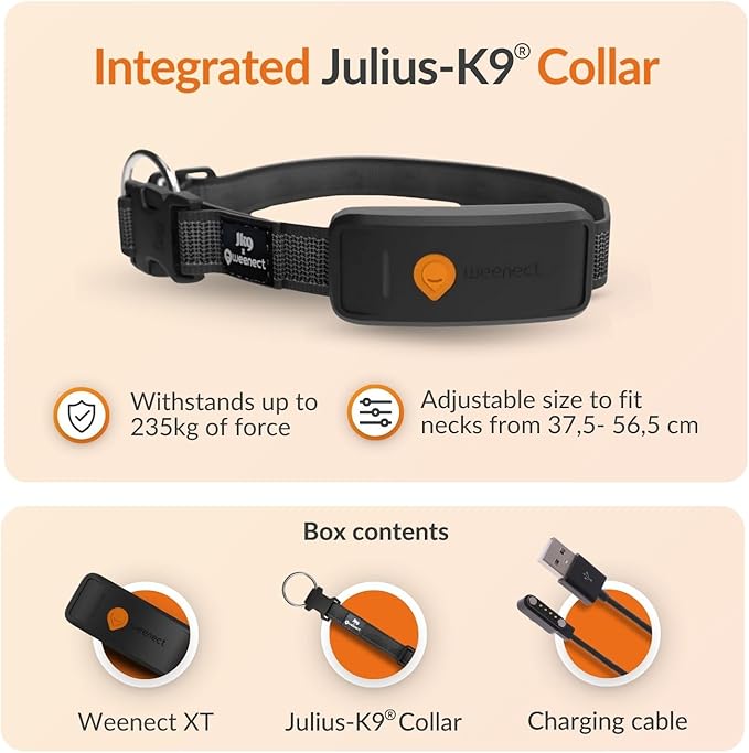 Weenect Dog XT - New GPS Collar for Dogs | XL Antenna | Waterproof | Ultra-Durable Integrated Julius-K9 Collar | Subscription Required