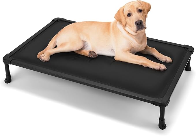 Veehoo Chew Proof Elevated Dog Bed, Durable Raised Pet Cot with Soft PP Cotton-Filled Waterproof Mat, Washable Padded Cot for Indoor, Outdoor & Camping, 41-Inch, Black