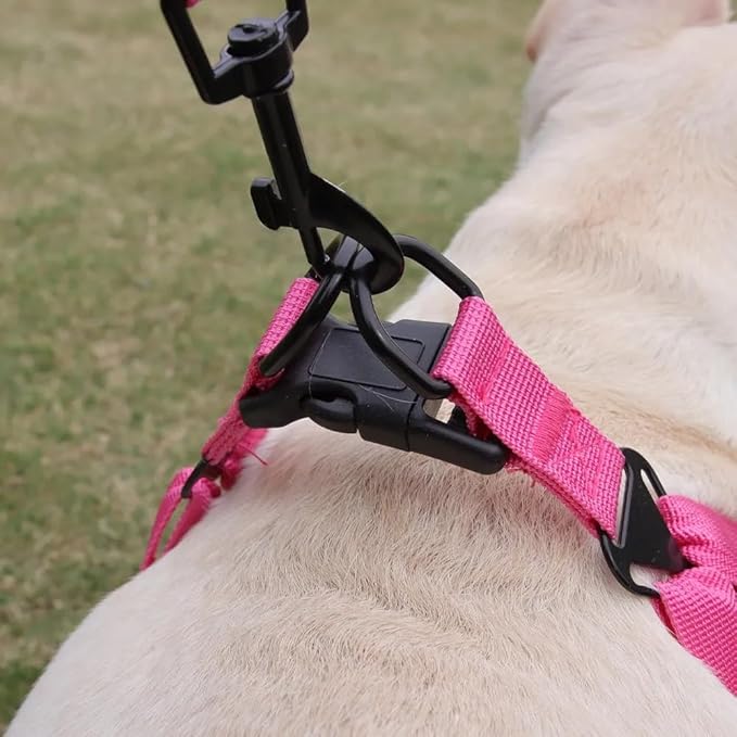 Dog Harness and Leash Set, Adjustable Triangle, Reflective Adjustable Puppy Vest, No Pull Soft Mesh Harness for Small, Medium Dogs, Cats (Fuchsia, S)