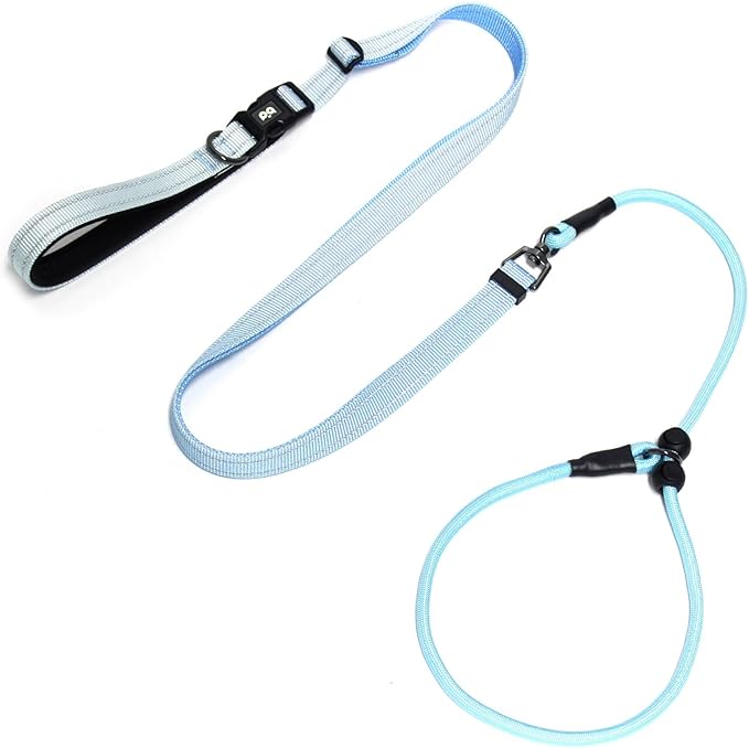 QQPETS Adjustable Slip Lead Dog Leash, Hands Free Waist Leash for Dog Walking, Reflective Training Lead with 360° Swivel Anti-Tangle, 4-7 ft Length for All Breeds