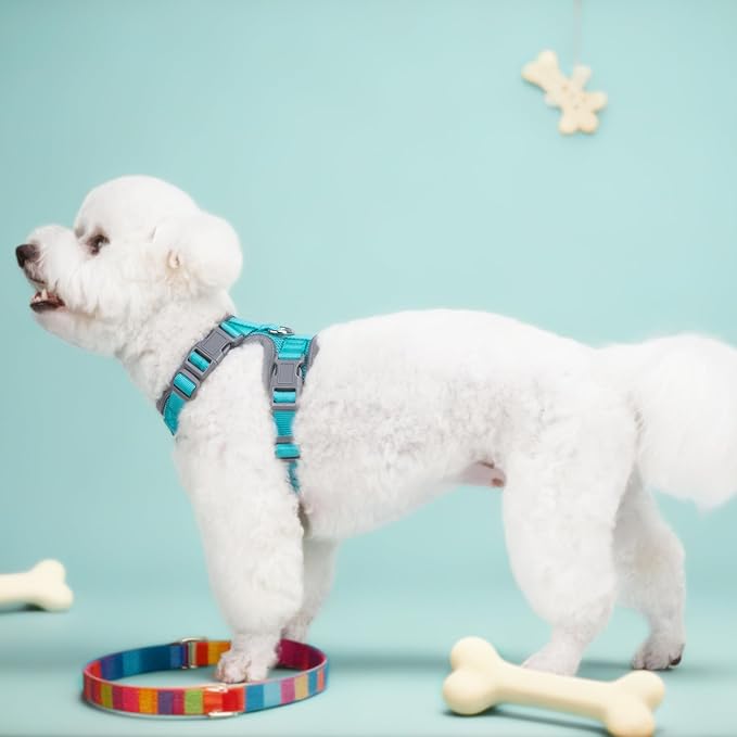 Small Dog Harness and Leash Set,No Pull Adjustable Pet Harness for Small Dogs ,Breathable Mesh Reflective Dog Vest Harness (Turquoise, XS)