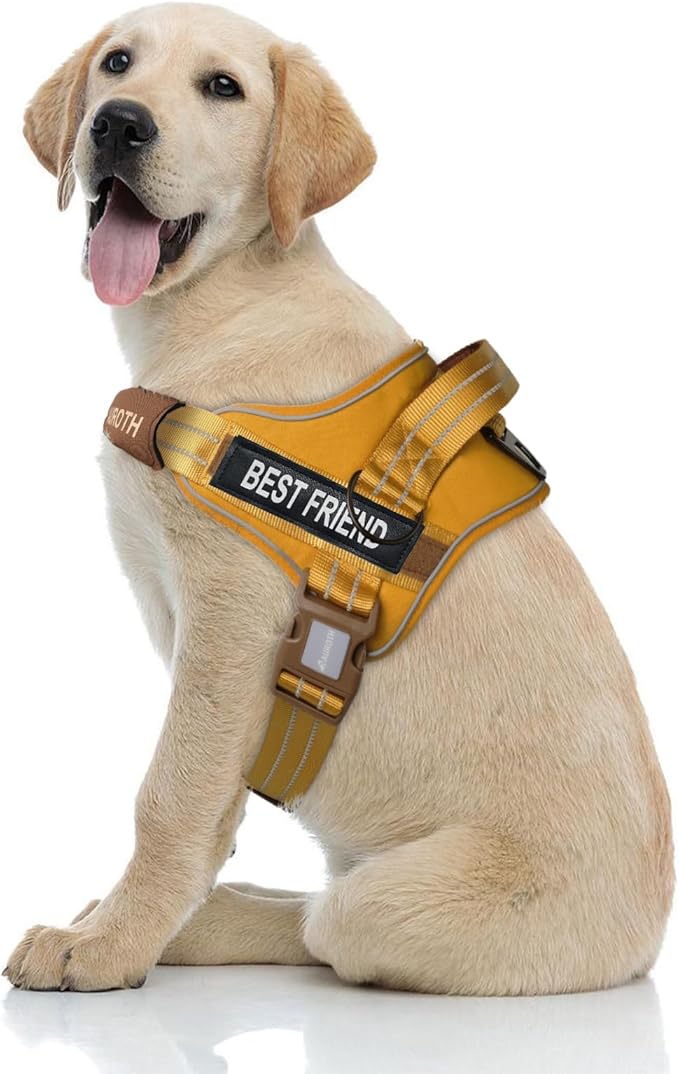 AUROTH Dog Harness No Pull Soft Padded Service Dog Vest, No Choke, Easy On Pet Vest with Handle, Adjustable Reflective Dog Harness for Small, Medium and Large Dogs, Easy Walking and Training