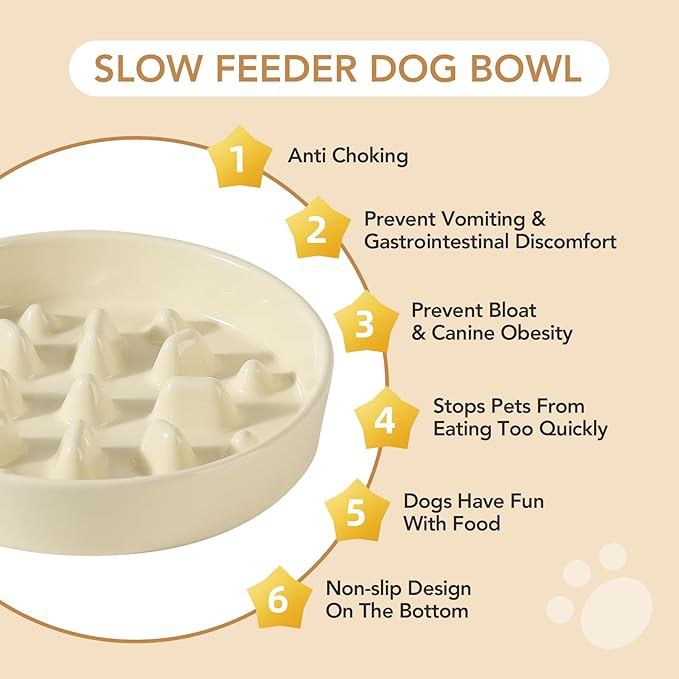 Ceramic 1.6 Cup Dog Bowl Slow Feeder, 8.2 inch Slow Pet Food Dish for Medium and Large Dog, Stop Bloat, Preventing Choking(Single Bowl, Beige)