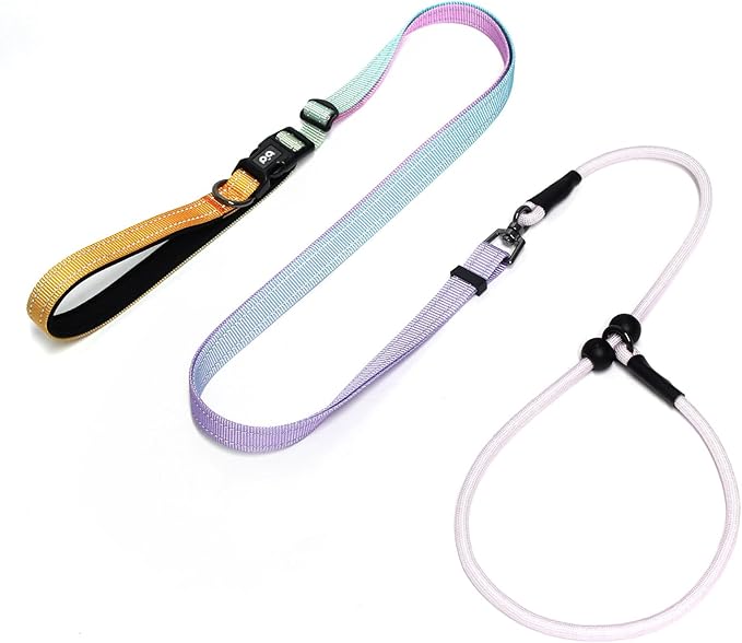 QQPETS Adjustable Slip Lead Dog Leash, Hands Free Waist Leash for Dog Walking, Reflective Training Lead with 360° Swivel Anti-Tangle, 4-7 ft Length for All Breeds