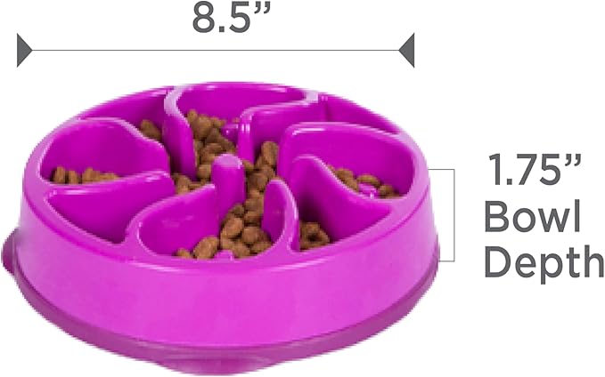 Outward Hound Medium Slow Feeder Bowl, Puzzle Maze for Fast Eaters, Small to Medium Dogs, Helps Prevent Bloat & Aid Digestion, Holds 2 Cups Wet or Dry Food, Non-Slip, Made Without BPA, Purple
