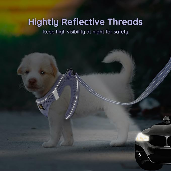 BELLA & PAL Step in Vest Harness for Small and Medium Dogs, No Pull Small Dog Harness with Leash Set, Comfortable Air Mesh Dog Vest Harness with Reflective Strip (Lavender, S)