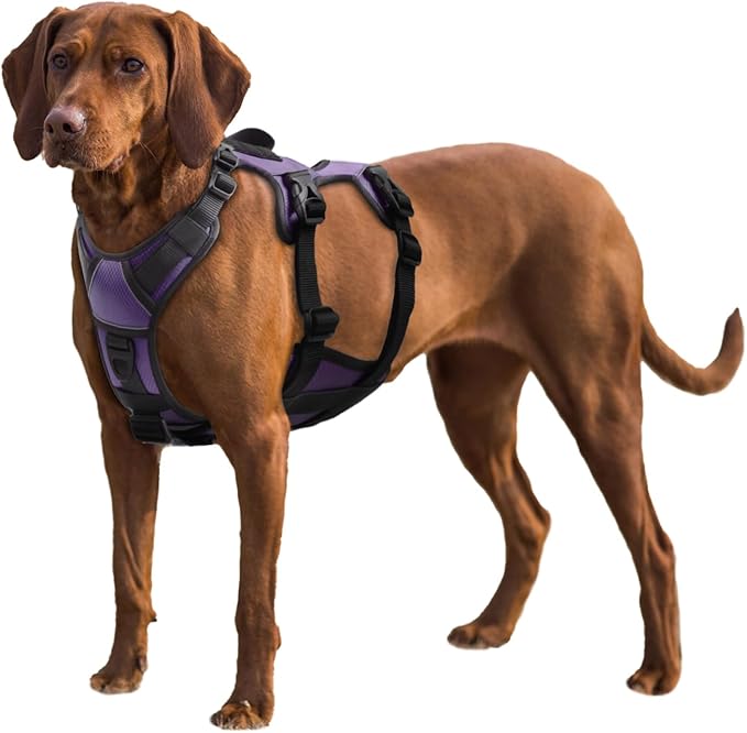 AUROTH Escape Proof Dog Harness - No Pull with Lift Handle, Soft Padded Reflective Adjustable Vest, Large for Walking Hiking Training