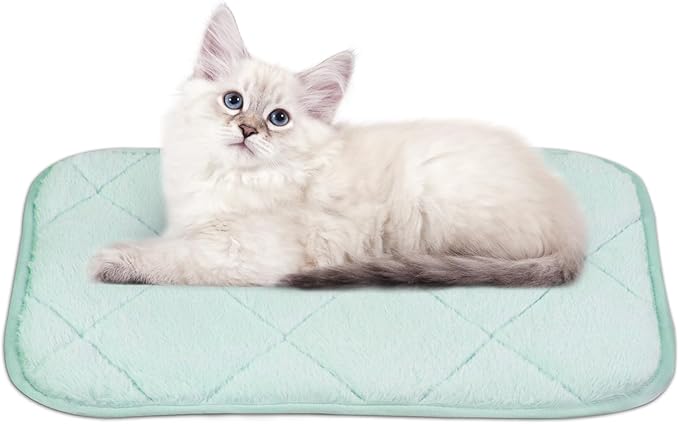 NWK Fluffy Self Warming Cat Mat, Cat Blanket, Thermal Dog Mat, Washable, Non-Slip Bottom for Sofa & Crate & Kennel & Car Seat (Mint Green, Small (20'' X 16'' X 0.4''))