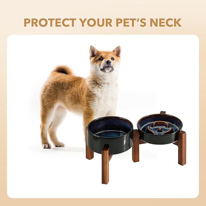 Ceramic 0.9 Cup Raised Slow Feeder Dog Bowl Set, Elevated 6.1inch Water Bowl and 6.1inch Slow Dish with Acacia Wood Stand for Small Dogs (2 x Starry Sky+ Stand)