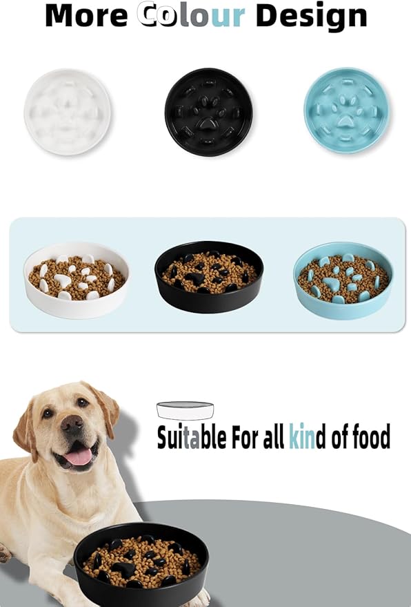 HAOTOP Ceramic Fun Slow Feeder Bowl, Porcelain Slow Eater Bowl for Medium Sized Dogs (Black)