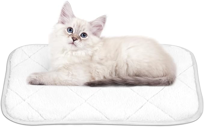 NWK Fluffy Self Warming Cat Mat, Cat Blanket, Thermal Dog Mat, Washable, Non-Slip Bottom for Sofa & Crate & Kennel & Car Seat (Creamy White, Small (20'' X 16'' X 0.4''))