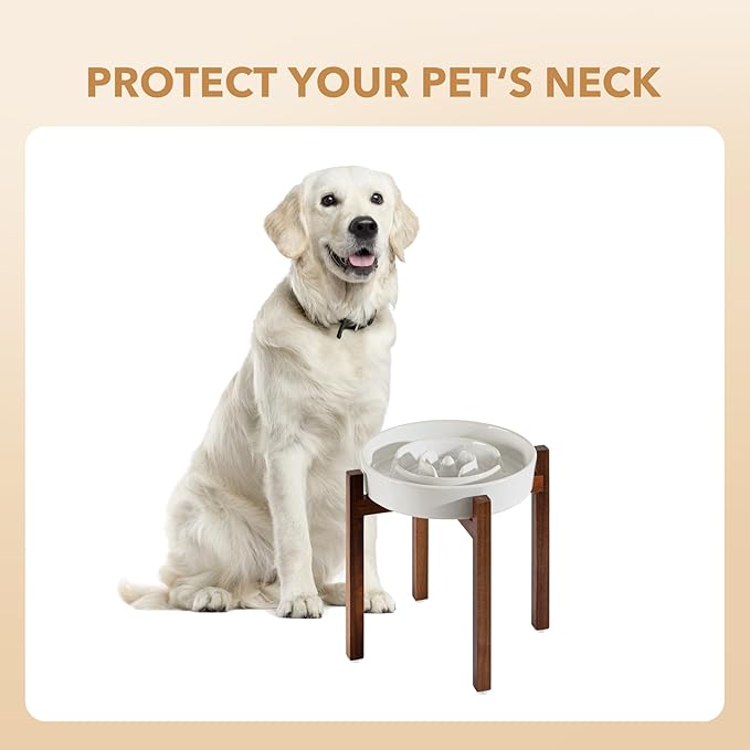 Ceramic 3.2 Cup Raised Slow Feeder Dog Bowl Set, Elevated Acacia Wood Stand for Large Dog, 9.5inch Slow Dish, Preventing Choking(Single Bowl+ Stand, Reactived Glaze -White)