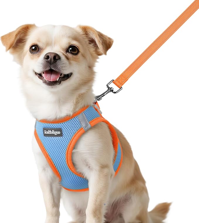 rabbitgoo Dog Harness Small Sized and Leash Set, Step-in Breathable Pet Harness, Soft Walking Reflective Puppy Vest for Small Dogs, Light Blue & Orange, XXS