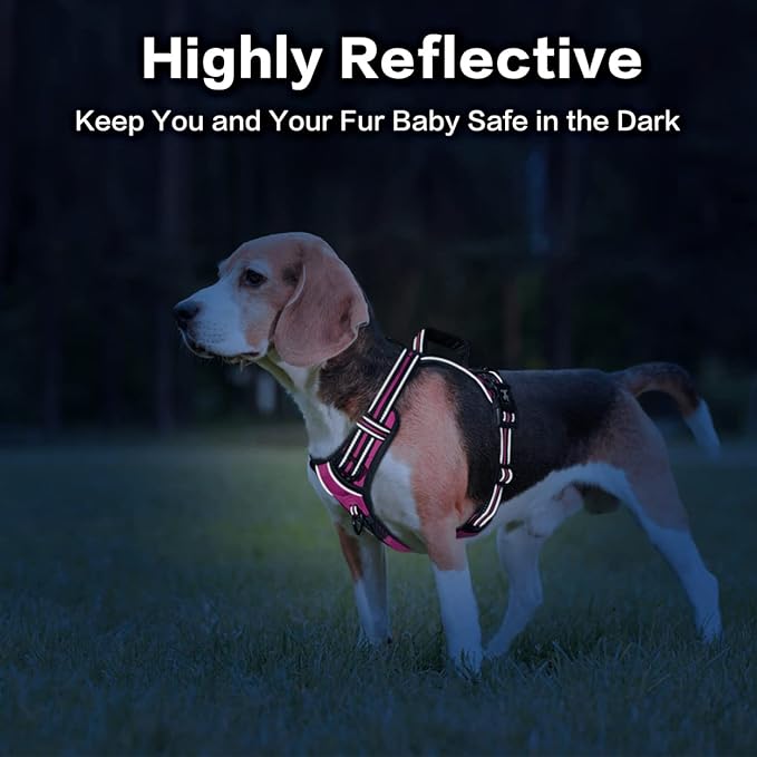 PoyPet No Pull Dog Harness, No Choke Front Clip Reflective Dog Vest with Soft Padded Vertical Handle, 3 Leash Attachments for Small Medium Large Dogs (Pink,XL)