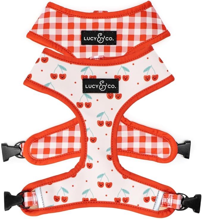 Lucy & Co. Cheery Cherries, Cute Reversible Dog Harness Walking Halter - Best Designer Pet Harnesses for XS - XL Dogs - Padded Adjustable Vest for Easy Walking (X-Small)