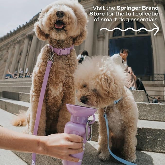 Springer by Springland Dog Water Bottle | Portable Travel Water Bottle Dispenser for Dogs | Dog Gift Seen on Oprah's Favorite Things, Shark Tank | Leak-Proof Bottles | BPA-Free 15oz Lilac