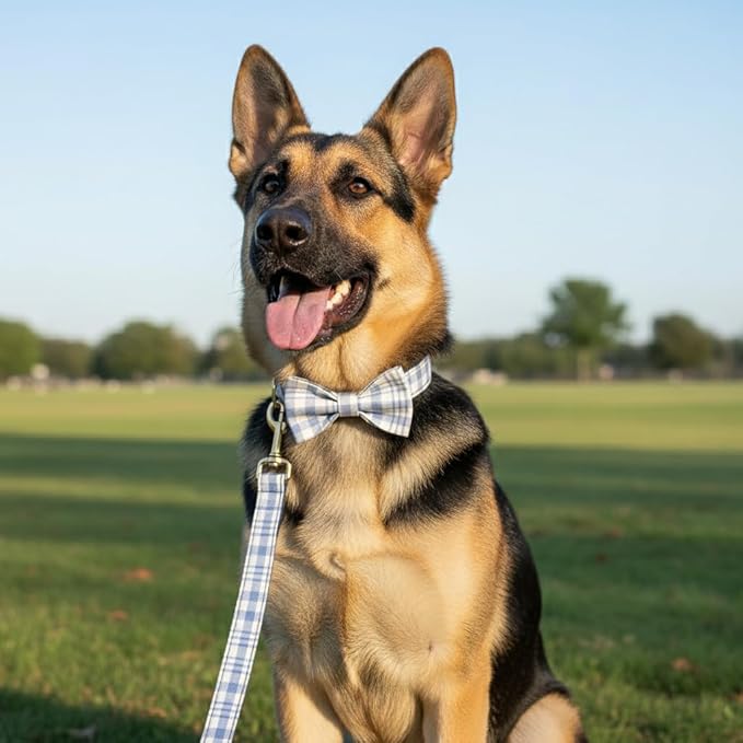 PETDURO Personalized Dog Collar Sky Blue Plaid for Large Medium Dogs | Engraved Name and Phone Number on Gold Metal Buckle for Boys & Girls | Add Leash & Bow Tie via Customize Now
