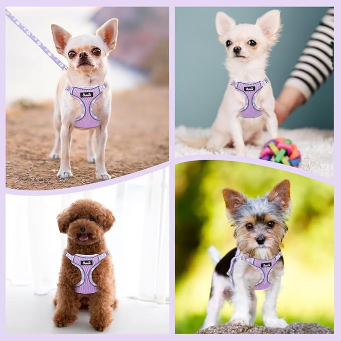 Lukovee No Pull Puppy Harness and Leash Set - Soft Lightweight Escape Proof Puppy Vest Harness, Breathable Adjustable Pet Harness with Dog Leash for Small Dogs (Purple, XS)