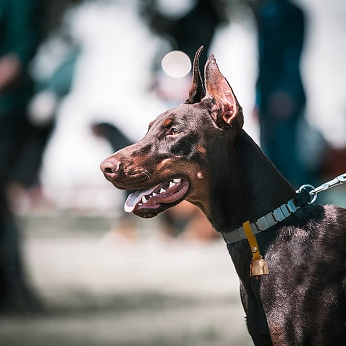 Dog Collar Copper Bell Pet Tracker Noise Maker/Leather Country Cow Bell for Pet Anti- Lost Pendant Tags for Pet Training Tracker Christmas New Year’s Eve(M)(Rose Gold)