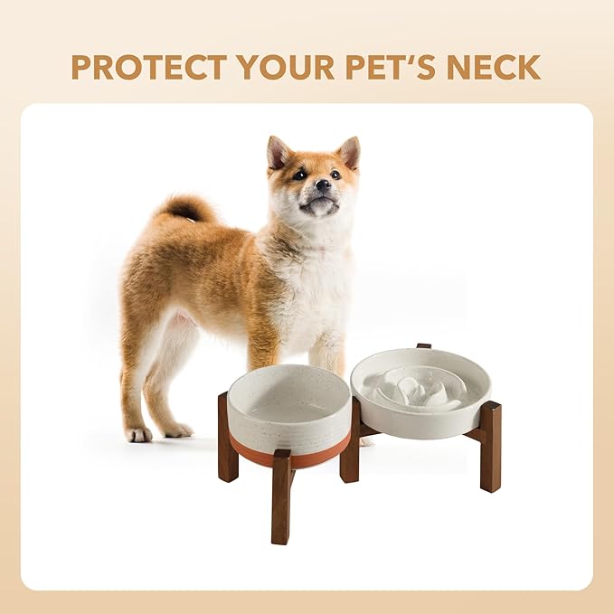 Ceramic 1.2 Cup Raised Slow Feeder Dog Bowl Set, Elevated 6.1inch Bowl and 7.3inch Dish with Acacia Wood Stand for Small and Medium Dogs(2 x Vanilla White+ Stand)