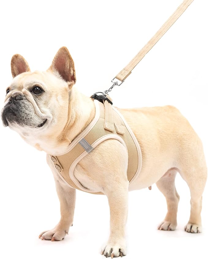 PUPTECK Dog Harness and Leash Set for Small Medium Dogs No Pull Step-in Soft Mesh Puppy Cat Vest Harnesses Reflective at Night, Denim Beige XS