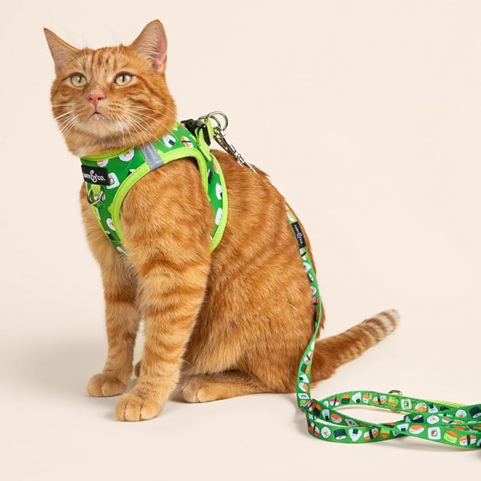Lucy & Co. How I Roll Step-in Cat Harness & Leash Bundle – Reflective, Breathable & Adjustable Harness for Cats, Kittens & Small Dogs, Lightweight & Secure and Dual Leash Clips – Small