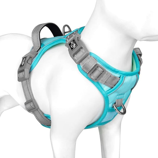 PHOEPET No Pull Dog Harness, Unique Colors Reflective Adjustable Dog Vest, with Soft Training Handle Metal Clips for Small Medium Large Dogs (Mint Green Base & Grey Straps,M)