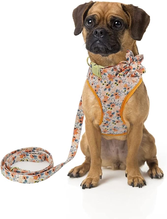 Beirui Cute Girl Dog Collars, Harnesses & Leashes Set - Adjustable Dog Collar and Leash Set with Flower - Soft Mesh Dog Vest Harness for Puppies Small Medium Dogs (Orange,XS)