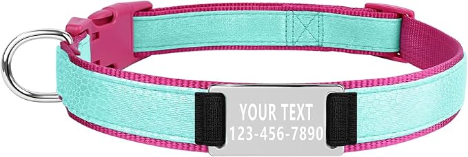 Custom Glow in The Dark Dog Collar with Name & Phone Number, Personalized Reflective Dog Collar for Small Medium Large Dog, Light Up Pet Collar with Engraved ID Tag