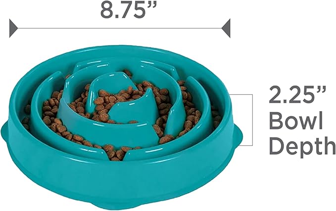 Outward Hound Medium Slow Feeder Bowl, Puzzle Maze for Fast Eaters, Small to Medium Dogs, Helps Prevent Bloat & Aid Digestion, Holds 2 Cups Wet or Dry Food, Non-Slip, Made Without BPA, Turquoise